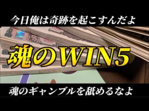 【競馬】WIN5がキャリーオーバしていたので勝負した!6億当てて馬主になりてぇな