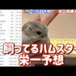 競馬予想【GⅠオークス🐎 2026.5.24】オークス大混戦！選ぶのはどの馬だ？