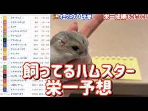 競馬予想【GⅠオークス🐎 2026.5.24】オークス大混戦！選ぶのはどの馬だ？