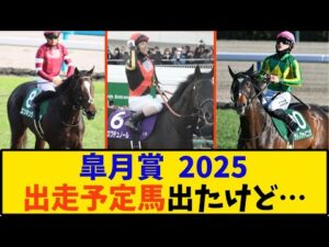 【競馬】「皐月賞 出走予定馬出たけど…」に対する反応【反応集】