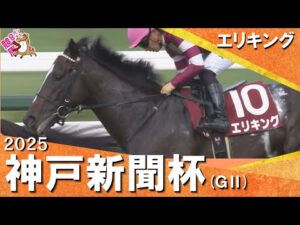 2025年 神戸新聞杯(ＧⅡ) エリキング　実況：川島壮雄【カンテレ公式】