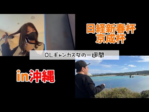 【競馬】沖縄帰りに日経新春杯と京成杯を勝負する女