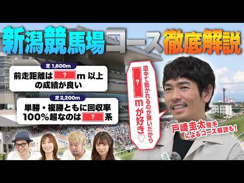 【新潟競馬場予想ガイド】戸崎圭太騎手のコース解説付！予想が100倍楽しくなる競馬DATAクイズ！ | JRA FUN CLUB