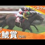 2025年 金鯱賞 (GⅡ) クイーンズウォーク【カンテレ公式】