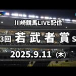 【第7回開催】川崎競馬パドック解説付きLIVE（2025年9月11日）第3回若武者賞SⅢ