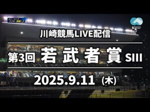 【第7回開催】川崎競馬パドック解説付きLIVE（2025年9月11日）第3回若武者賞SⅢ