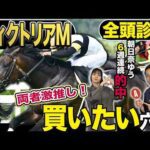 《東スポ競馬ニュース》【ヴィクトリアM2026】GⅠ全頭診断！！メンバーは揃った！上位陣は強いが大穴馬にも注目せよ！競馬記者が徹底解説します