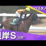 2025年 根岸ステークス (GⅢ)  コスタノヴァ【カンテレ公式】