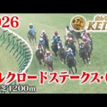 【シルクロードステークス・GⅢ】シルクロードS 京都 芝 1200m 2026 レース  【みんなのKEIBA】