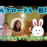 シルクロードステークス、根岸ステークス！別々で競馬を楽しんだ夫婦の週末