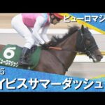 2025年 アイビスサマーダッシュ(ＧⅢ)  ピューロマジック【カンテレ公式】