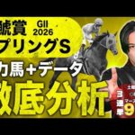 【2026金鯱賞＋スプリングS】大阪城S◎ドラゴンブースト7人気🥇！超豪華メンバー金鯱賞と単系で狙える馬多数のスプリングSの有力馬全頭＋ポイントを徹底解説！