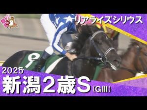 2025年 新潟2歳ステークス(ＧⅢ) リアライズシリウス 【カンテレ公式】