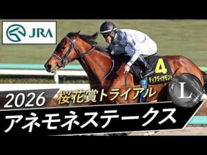 2026年 アネモネステークス（L） | ディアダイヤモンド | JRA公式