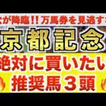 【京都記念2026 予想】エリキング過去最高のデキ？プロが"全頭診断"から導く絶好の3頭！