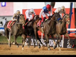 REPLAY - 2025 Dubai World Cup - FULL MEETING