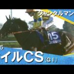 2025年マイルチャンピオンシップ(ＧⅠ) ジャンタルマンタル  実況：川島壮雄【カンテレ公式】