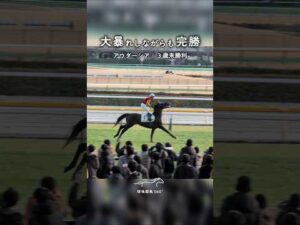 大暴れしながらも完勝｜アウダーシア｜3歳未勝利 #競馬 #現地映像 #アウダーシア #ルメール #東京競馬場