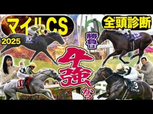 《東スポ競馬ニュース》【マイルCS2025】全頭診断!今年も混戦必死のマイルCS!4強の戦いになるのか?いやいや人気薄にももちろん妙味アリ!全18頭を競馬記者が徹底解説!!!