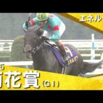 2025年 菊花賞(GⅠ) エネルジコ 実況:川島壮雄【カンテレ公式】