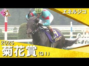 2025年 菊花賞(GⅠ) エネルジコ 実況:川島壮雄【カンテレ公式】