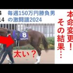 朝日杯、パドックで本命変更した結果… 毎週150万円勝負男の激闘譜2024 2024年12月14日