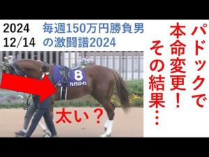 朝日杯、パドックで本命変更した結果… 毎週150万円勝負男の激闘譜2024　2024年12月14日
