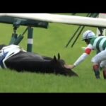 日本ダービー　スキルヴィング号（急性心不全で転倒・心優しいルメールJ）ドゥラエレーデ号（発走直後に落馬）1着タスティエーラ号（D.レーン騎手）　2023年5月28日（日）東京競馬場