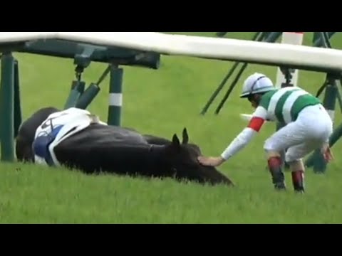 日本ダービー　スキルヴィング号（急性心不全で転倒・心優しいルメールJ）ドゥラエレーデ号（発走直後に落馬）1着タスティエーラ号（D.レーン騎手）　2023年5月28日（日）東京競馬場