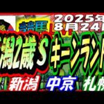 2025年8月24日【競馬 JRA全レース予想ライブ】新潟2歳S、キーンランドC。新潟、中京、札幌