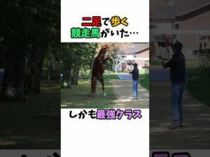 二足で歩く競走馬がいた･･･しかも最強クラス#競馬 #horse