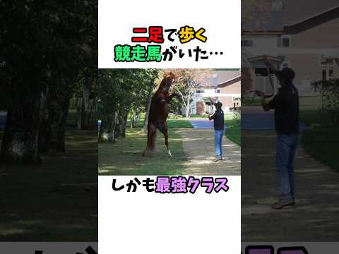 二足で歩く競走馬がいた･･･しかも最強クラス#競馬 #horse