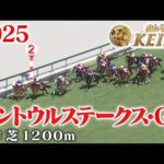 【産経賞セントウルステークス・GⅡ】セントウルS 阪神 芝 1200m 2025 レース  【みんなのKEIBA】