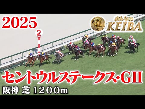 【産経賞セントウルステークス・GⅡ】セントウルS 阪神 芝 1200m 2025 レース 【みんなのKEIBA】