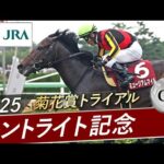 2025年 セントライト記念(GⅡ) | ミュージアムマイル | JRA公式