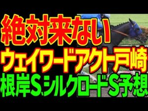【根岸S、シルクロードS予想】戸崎圭太は絶対に来ない！ウェイワードアクトは沈むし！インユアパレス川田も！武豊ヤブサメも！自信のある予想！2026年根岸S、シルクロードS予想動画【競馬ゆっくり】