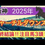 【チャーチルダウンズカップ2025】蓮の競馬予想