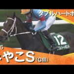 2025年みやこテークス(ＧⅢ) 　実況：服部優陽【カンテレ公式】