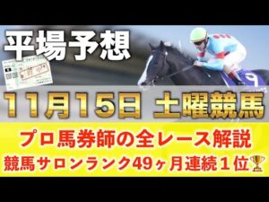 【11月15日土曜競馬予想】47週連続の新馬戦的中へ🥇プロが平場全レース予想を無料公開！【平場予想】