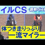 【「ハイレベルな動き」伏兵もランクイン！】ジャンタルマンタル、ソウルラッシュ、アスコリピチェーノ・・・競馬エイト・高橋賢司トラックマンの調教解説＜マイルチャンピオンシップ(ＧⅠ)＞