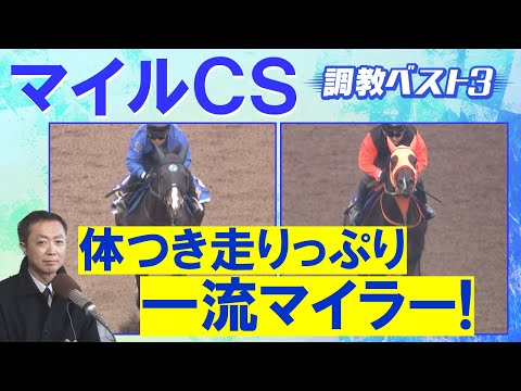 【「ハイレベルな動き」伏兵もランクイン!】ジャンタルマンタル、ソウルラッシュ、アスコリピチェーノ・・・競馬エイト・高橋賢司トラックマンの調教解説<マイルチャンピオンシップ(GⅠ)>