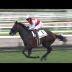 【函館競馬】2.1億円ショウナンガレオンがレコード勝ちの鮮烈デビュー　父はBCクラシックなどG1・4勝のフライトライン