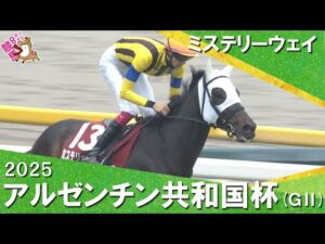 2025年アルゼンチン共和国杯(ＧⅡ) ミステリーウェイ 【カンテレ公式】