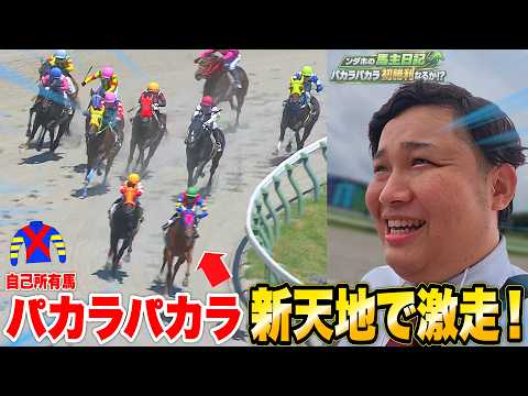【馬主密着】パカラパカラが新天地で激走！単勝1.2倍の支持に応えて待望の初勝利なるか！？