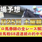 【7月25日土曜競馬予想】69週連続の新馬戦的中へ🥇プロが平場全レース予想を無料公開！【平場予想】