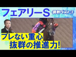 「潜在能力が高い！」ギリーズボール、サンアントワーヌ、ピエドゥラパン・・・競馬エイト・高橋賢司トラックマンの調教解説＜フェアリーステークス(ＧⅢ)＞