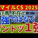 マイルチャンピオンシップ2025 競馬YouTuber達が選んだ【確信軸】スプリント先行馬不在＝瞬発力1強！