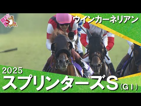 2025年 スプリンターズステークス(GⅠ) ウインカーネリアン 【カンテレ公式】