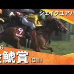 2026年金鯱賞(ＧⅡ) シェイクユアハート【カンテレ公式】