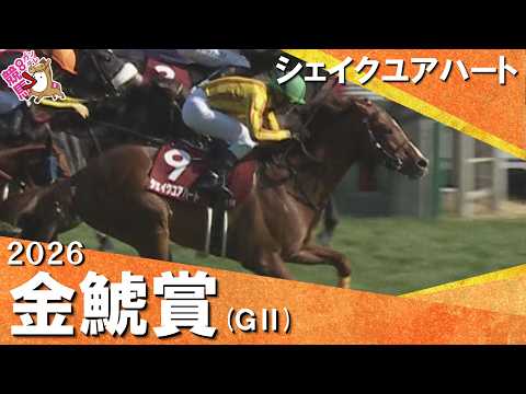 2026年金鯱賞(ＧⅡ) シェイクユアハート【カンテレ公式】
